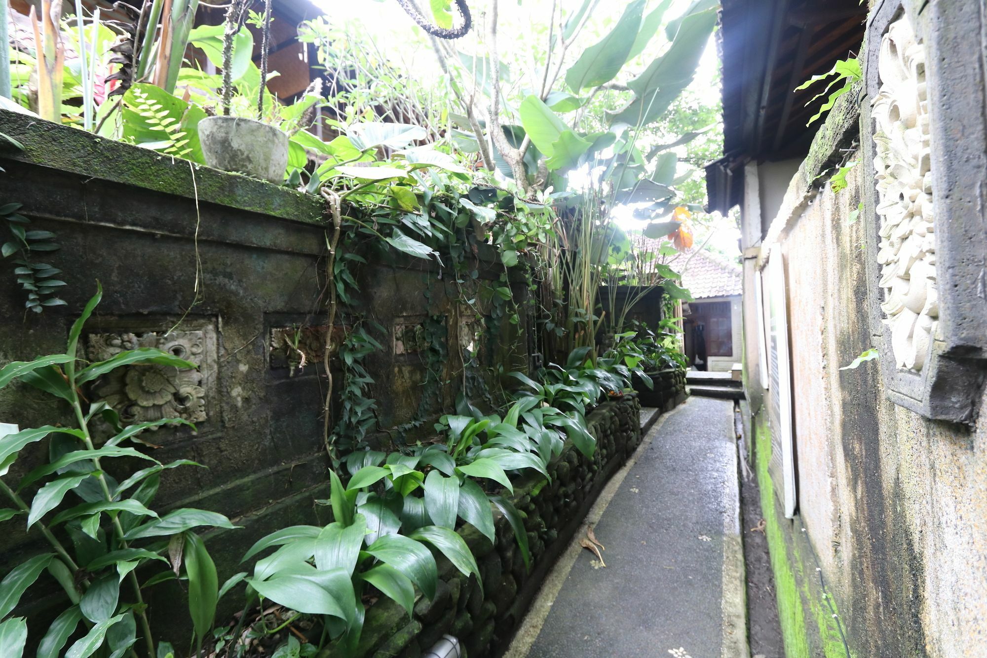 Pondok Permata Homestay Ubud Exterior foto