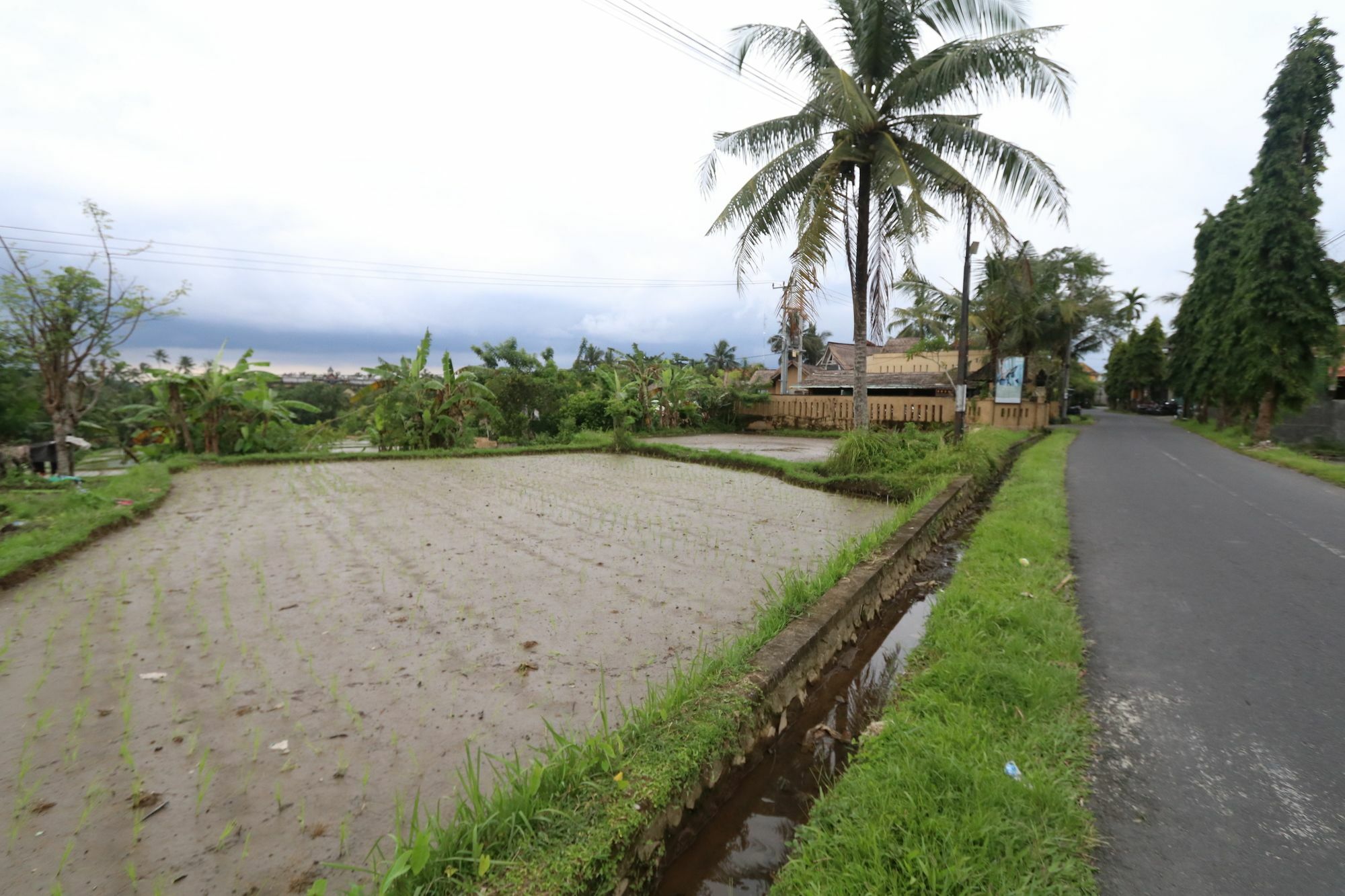 Pondok Permata Homestay Ubud Exterior foto